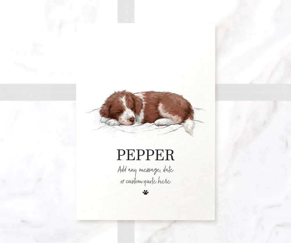 Brown & White Border Collie Personalised Print