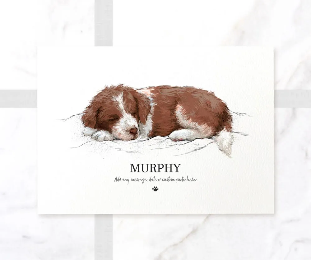 Brown & White Border Collie Personalised Print