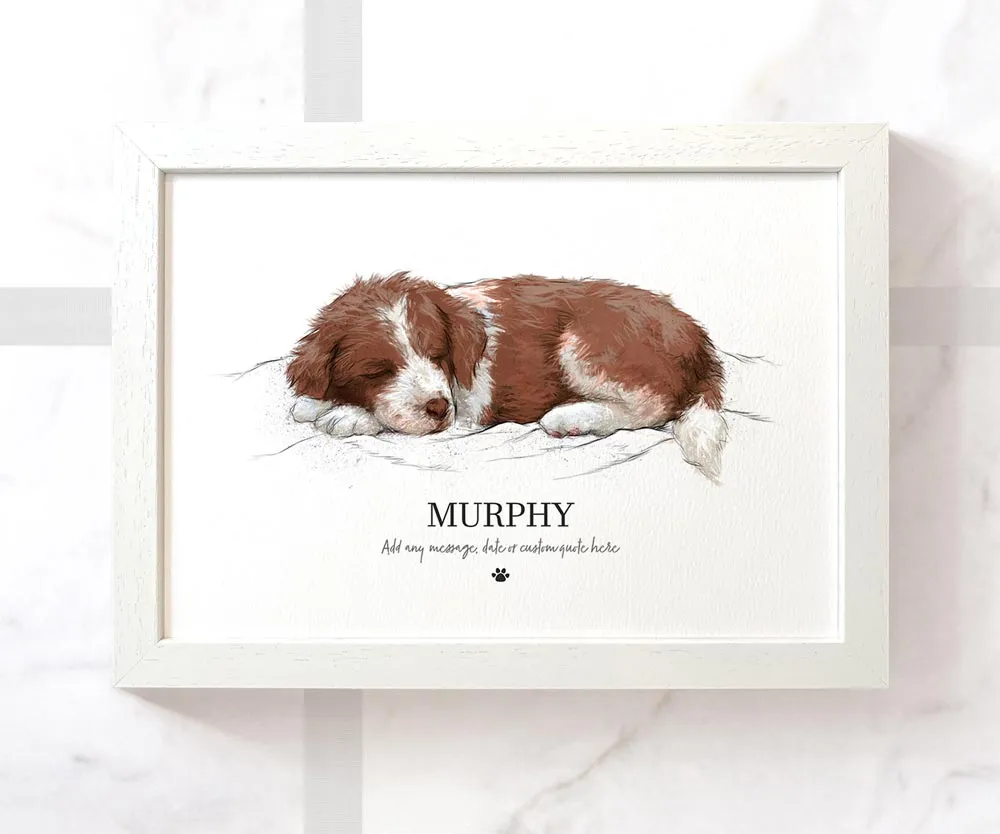 Brown & White Border Collie Personalised Print