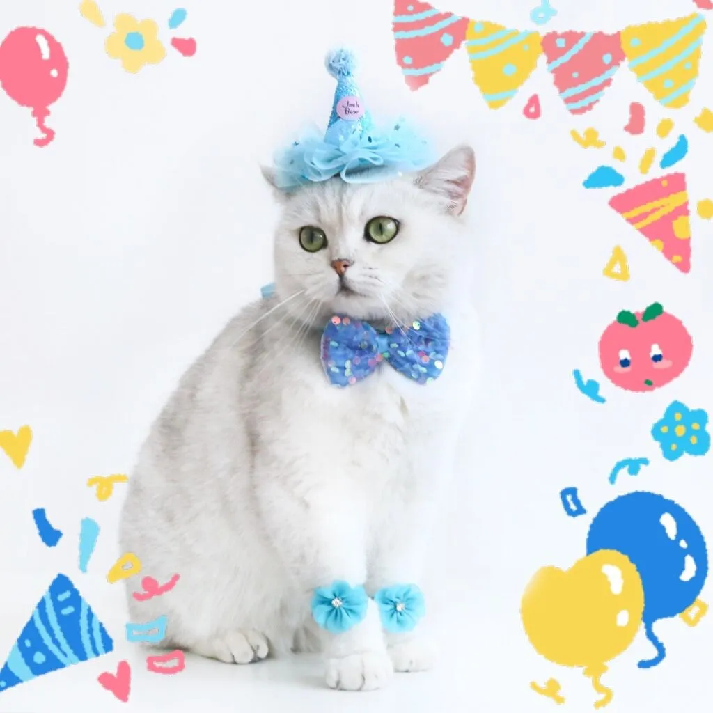 Cat Birthday Party Outfits Set (4pcs) | Blue