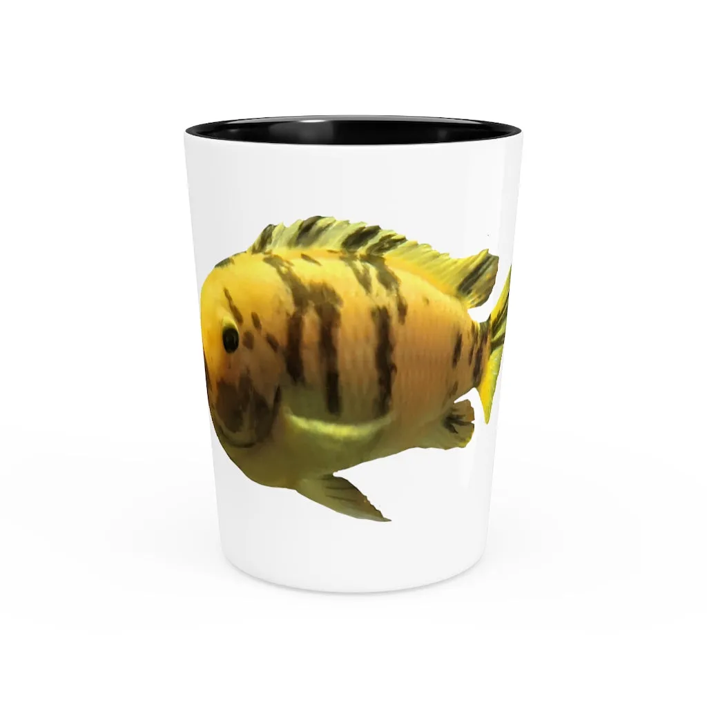 Orange Fish OraShot Glass