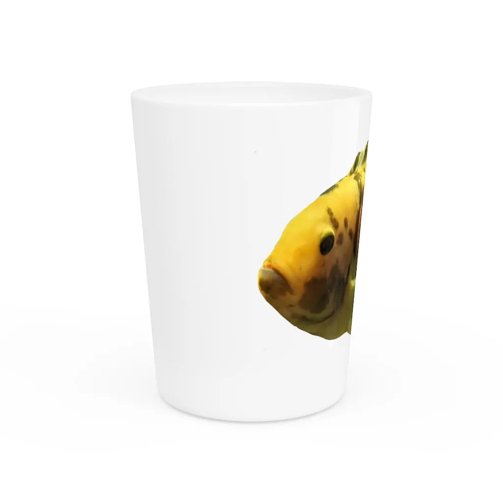 Orange Fish OraShot Glass