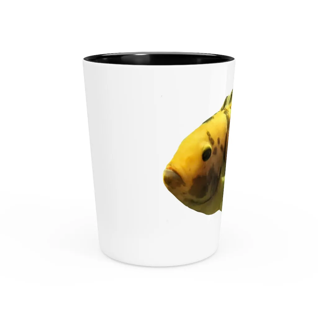 Orange Fish OraShot Glass