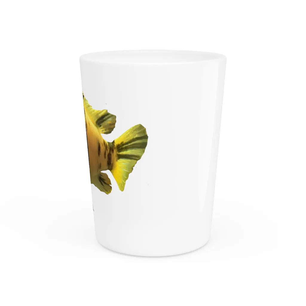 Orange Fish OraShot Glass