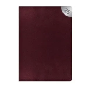 Padded 2025 A5 Diary