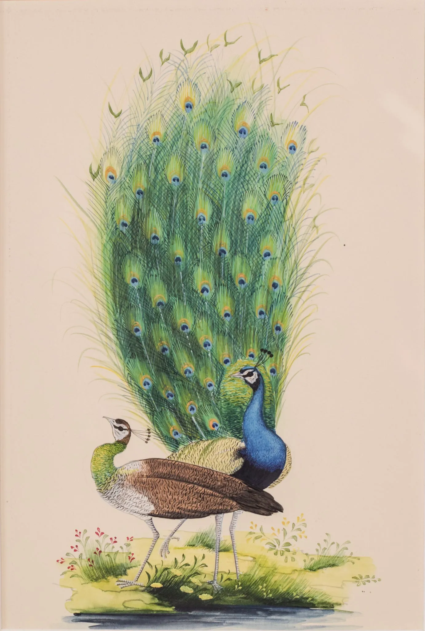 Pair of Peacocks - Goauche