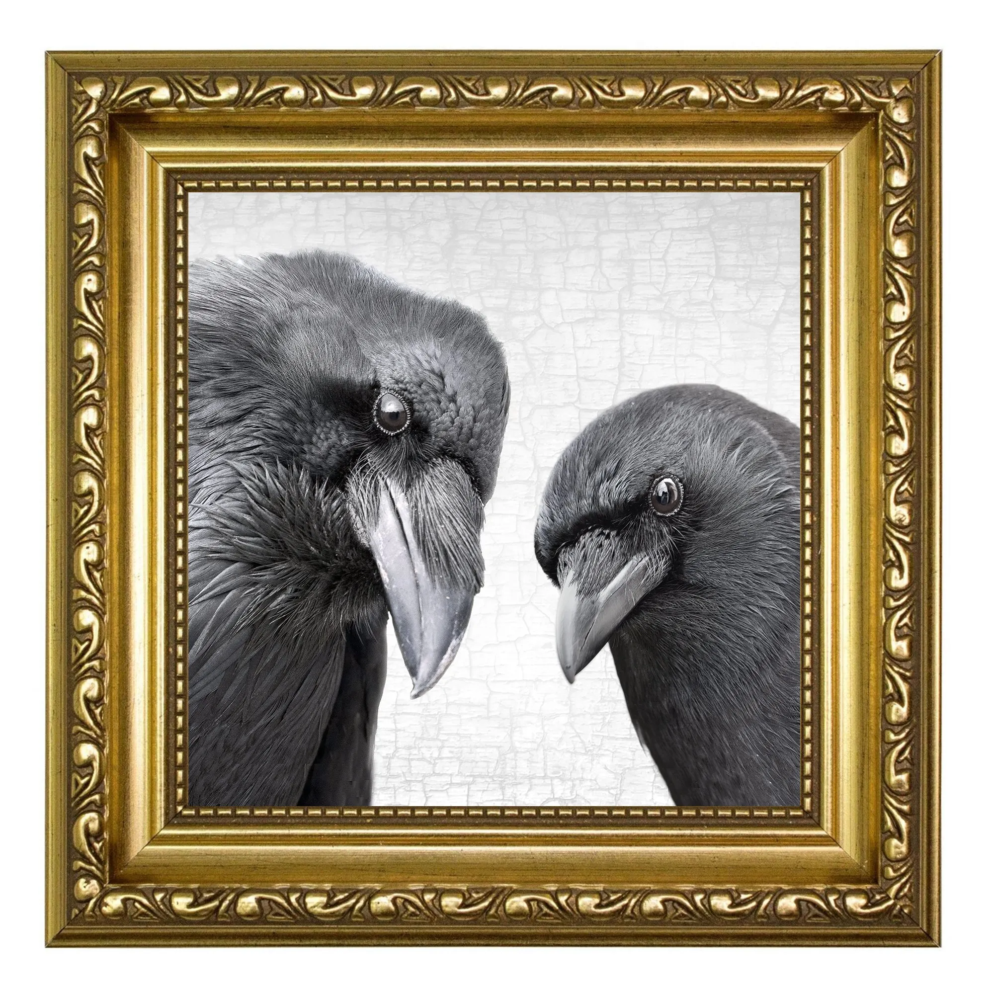 RAVEN AND CROW - Fine Art Print, Raven Portrait Series