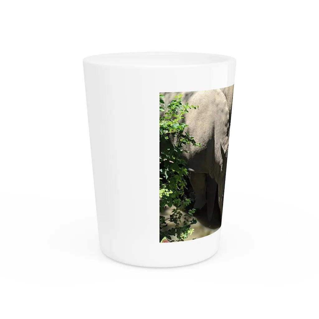 Rhinos Shot Glass