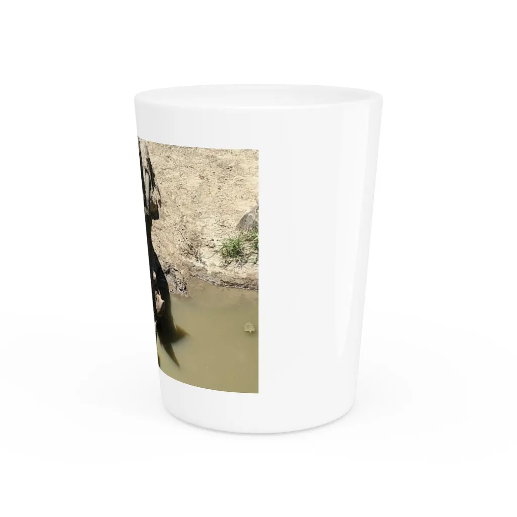 Rhinos Shot Glass