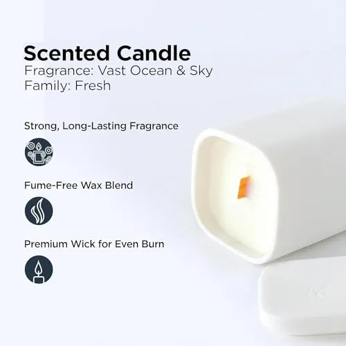 Urbane Home Scented Candles | Fragrance Candles | Candles for Wedding | Candles for Bedroom | Birthday Candles | Valentines Day Gifts Candles | DY-230703B | White