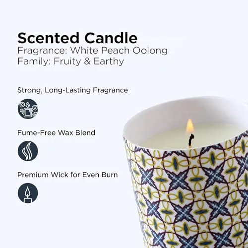 Urbane Home Scented Candles | Fragrance Candles | Candles for Wedding | Candles for Bedroom | Birthday Candles | Valentines Day Gifts Candles | DY-230708A | Multicolor